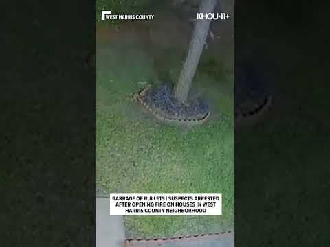 Surveillance video: Gunman opens fire on west Harris County home