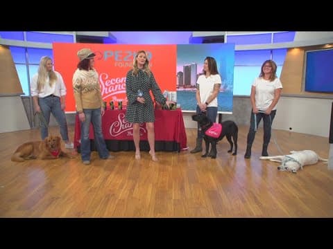 Hope2K9 & Second Chance host a free dog training event Sunday