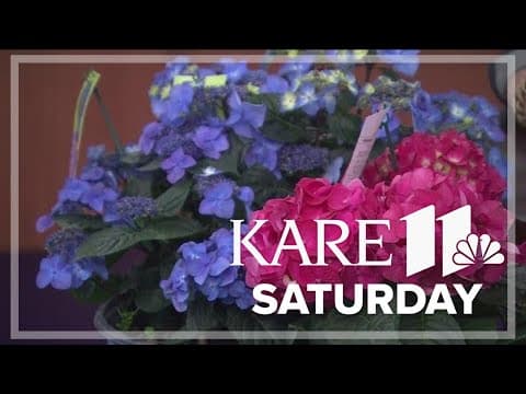 'Field Guide to Outside Style' helps home gardeners