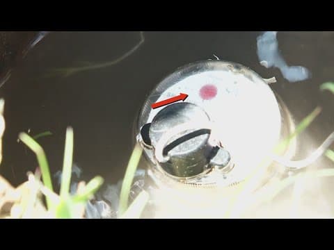 S&WB continues to work to install smart meters