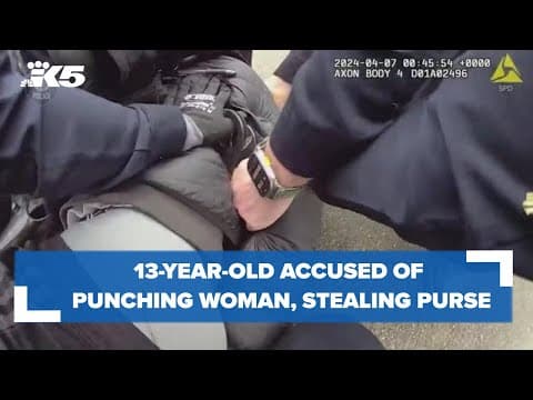 Video shows 13-year-old accused of punching woman, stealing purse being arrested
