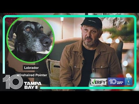 Do dog DNA tests actually work?