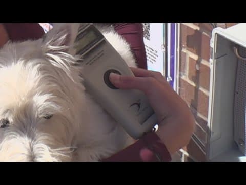 Lost Pet? Eastbank Library Offers New Microchip Scanning Stations for Reunions