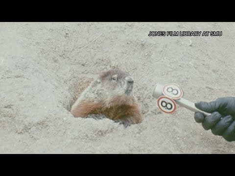 Here's how Texans created their own Groundhog Day traditions