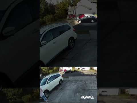 Gresham grandmother followed from ATM, robbed in driveway