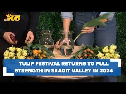 Local favorite Skagit Valley Tulip Festival returns at full strength in 2024