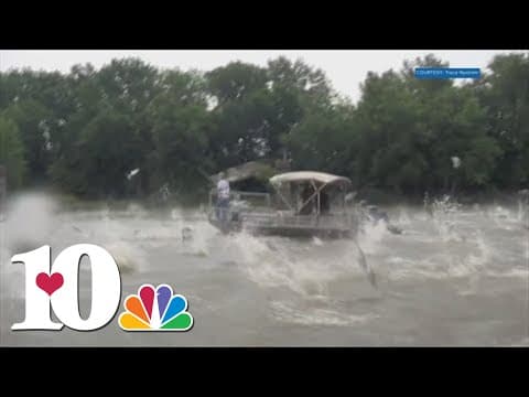 TN continues battle with 4 invasive carp species spreading across the state