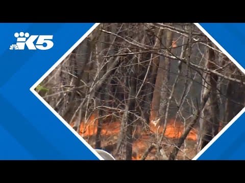 Wildfires ripping through the southern United States amid unusually dry conditions and heavy winds