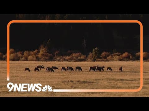 RMNP beginning closures for elk rut season