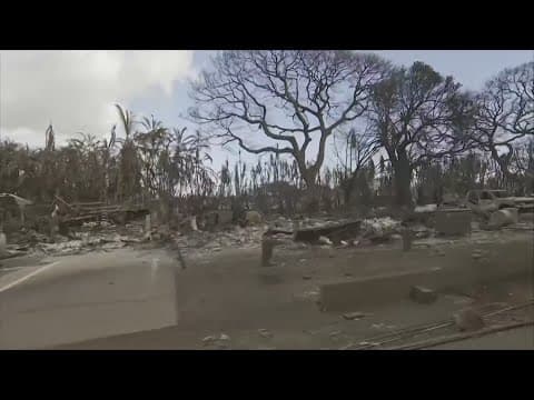 Scammers looking to take advantage of Maui wildfires