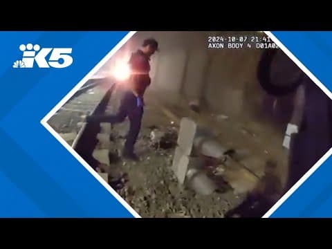 Man rescued from train tracks by Seattle police officers seconds before being hit