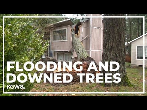 Wind and heavy rain bring power outages, flooding to the Portland area