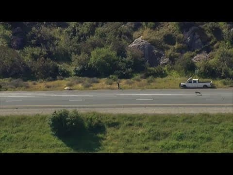 Man taken down by police dog in East County chase