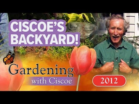 CISCOE’S BACKYARD! Hanging Out at Ciscoe’s House! | Gardening With Ciscoe | Full Episode