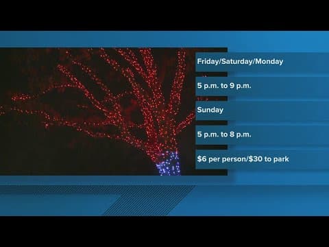 Zoolights return on Friday ahead of holiday season