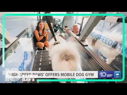 Mobile dog gym offers pets a way to exercise when it's too hot outside