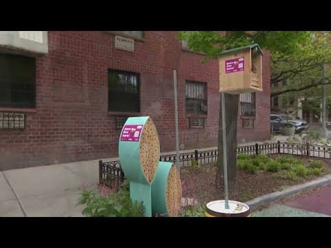 Environment Matters | Pollinator Port Project creates Bee Hotels