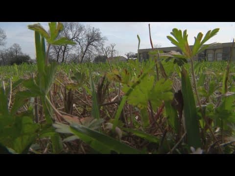 Soil deemed safe at Houston's Fifth Ward Hester House, EPA says