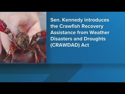 Senator John Kennedy introduces 'CRAWDAD Act'