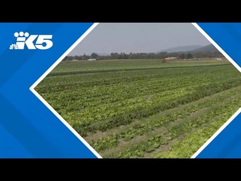 Skagit County pauses proposed energy storage facility after backlash