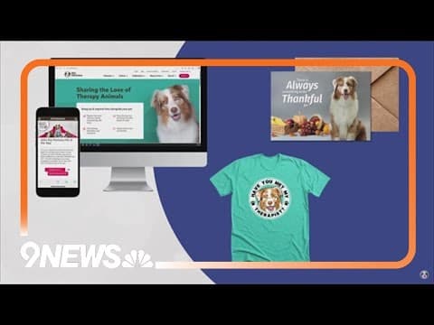 Nonprofit looking for competitors for Pet of the Year