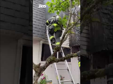 Dog dies in Federal Way apartment fire