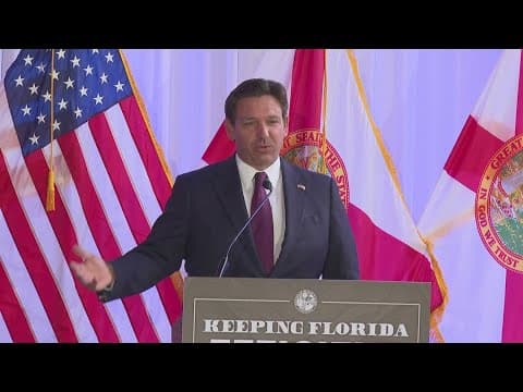 DeSantis to mirror Musk's efforts with Florida DOGE task force