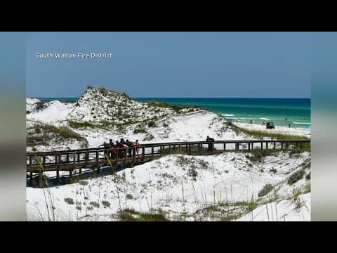 Three people injured in Florida shark attacks
