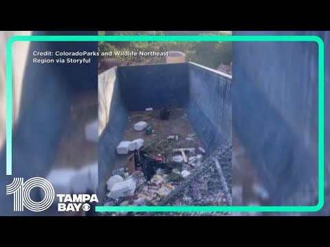 Colorado wildlife officials help free trapped bear cub from dumpster