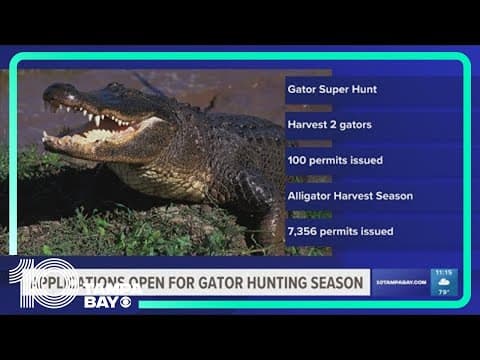 New Alligator Super Hunt permit applications open Friday