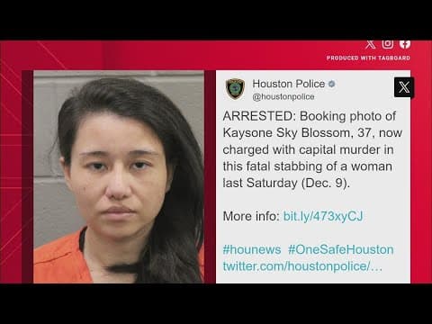 Woman arrested, accused of stabbing teen to death during robbery near the Galleria last weekend