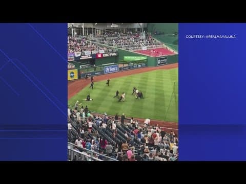 Eight people are in custody for running onto field during Congressional Baseball game