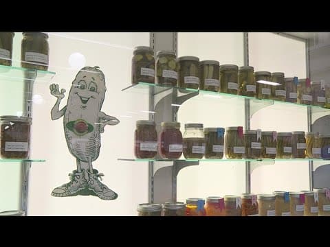 Easy homemade pickle recipe