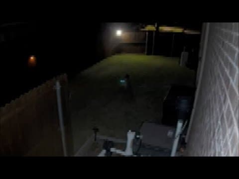 North Texas man catches a mountain lion in his backyard