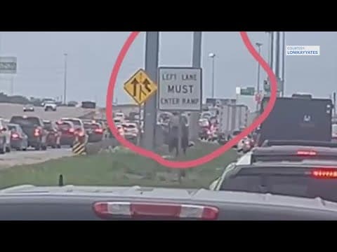 RodeoHouston competitor rides his horse to beat traffic near NRG Arena