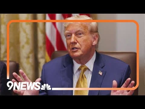 New Hampshire judge pauses President Trump's executive order on birthright citizenship