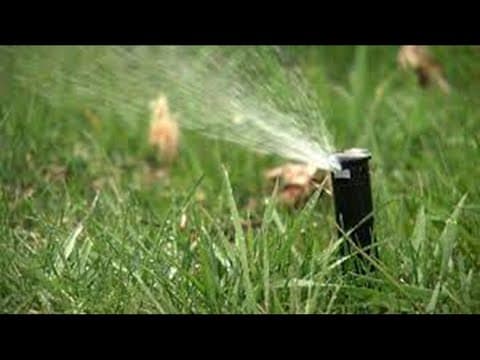 Preparing for the freeze: Winterize your sprinkler system, tire pressure awareness, protect pets