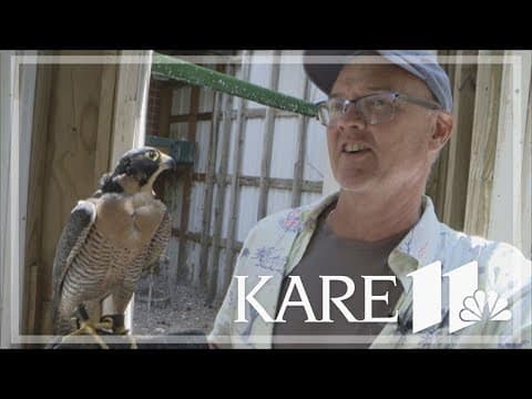 Beloved Stillwater HS teacher, master falconer retires after 33 years
