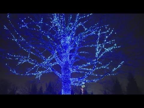 Winterlights returns to Newfields for 8th year