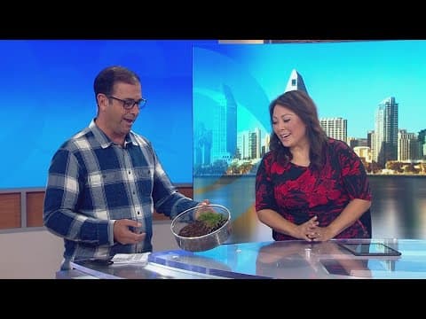Tarantula appears on CBS 8 set with Marcella Lee and Steve Price