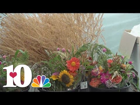 Founder of Special Growers talks about the nonprofit