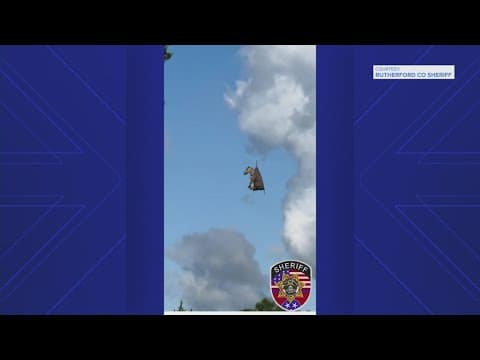 Texas helicopter crew assists in rescue of escaped zebra in Tennessee