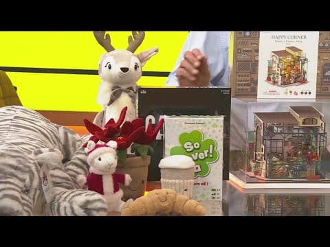 Holiday gift ideas from Hub Hobby Center