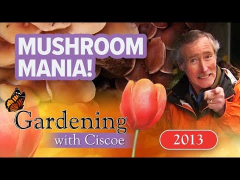 MUSHROOM MANIA! Tips for Foraging and Identifying Mushrooms! | Gardening With Ciscoe | Full Episode