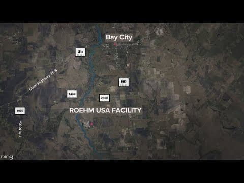 'Several' people taken to hospital after ammonia leak at Bay City facility