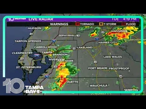 Showers, storms move across the Tampa Bay area