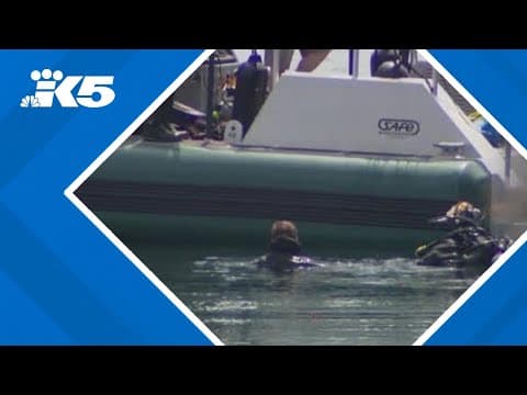 Suspect in women's fatal stabbing drives car off Ketron Island ferry dock