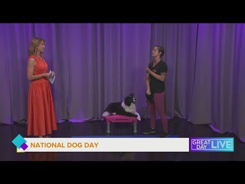 Fitness for your furry friend