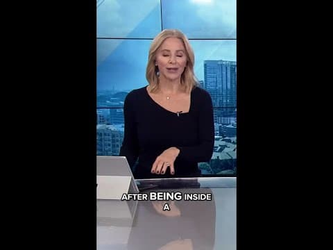 Puppy recovering after suspect in police chase crashes truck into Anderson pond