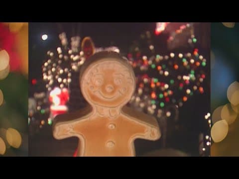 WWL Legend reporter Ronnie Virgets on the unintended consequences of Christmas lights